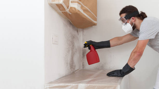 Professional Mold Remediation technician working in Saint James City, FL